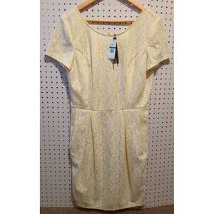 Robert Rodriguez Sunflower Yellow Dress Large Lace Floral Pleated